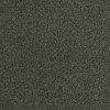 Patina - Living Colours 3 - color 590 Muschio
